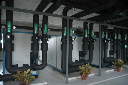 点亮新生 矿区变身生态园的照明魔法