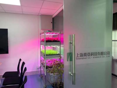 新闻中心的照明设备 科技与艺术的交融，打造专业传播空间